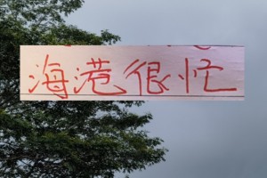 杏彩体育app下载-2026年海港应该是最忙的球队 去年还有申花陪 今年只能是孤勇者